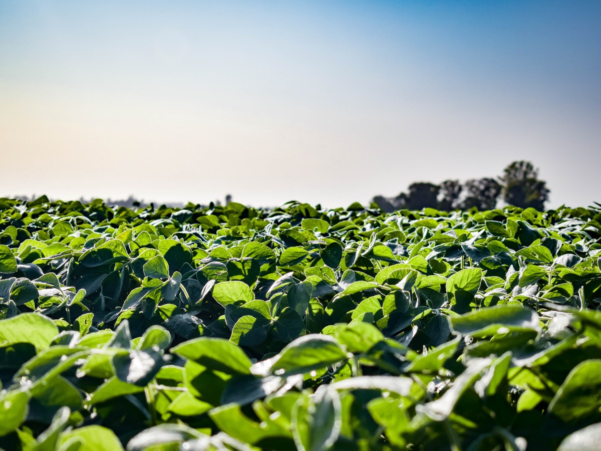 Grateful for a Labor Day Example