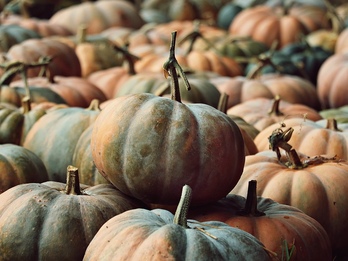 Give Thanks – It is Good!